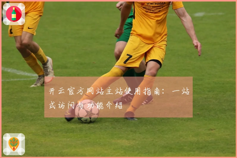 开云官方网站主站使用指南：一站式访问与功能介绍